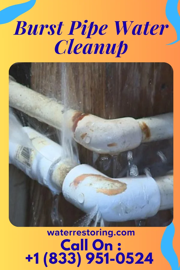 Burst Pipe Water Cleanup in Lyndhurst, OH