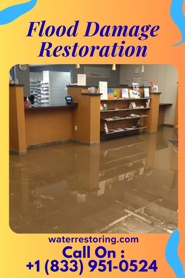 Flood Damage Restoration in Lyndhurst, OH