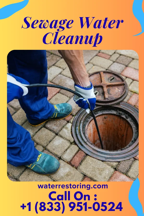 Sewage Water Cleanup in Lyndhurst, OH