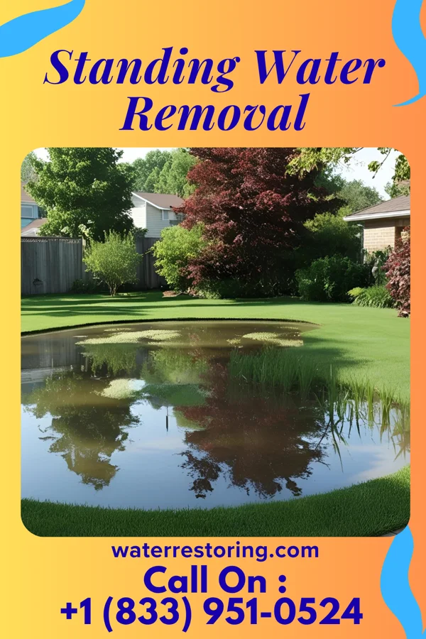 Standing Water Removal in Lyndhurst, OH